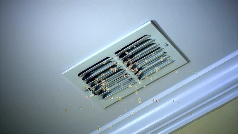 Best Air Duct Cleaning Near Me  in Colon, MI