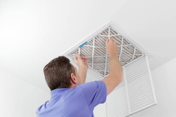 Best Air Duct Mold Removal  in Colon, MI